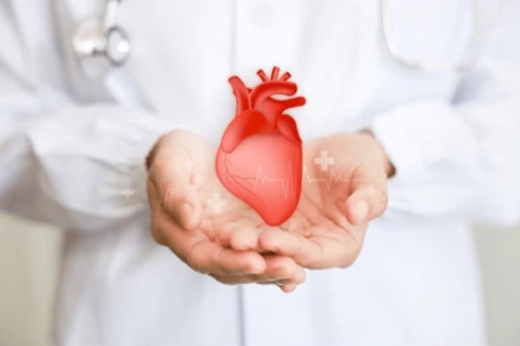 Cardiology------17